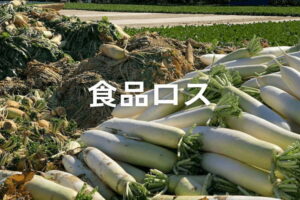 食品ロスの定義と日本の実態｜農家が知るべき削減アイデア