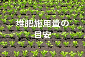 堆肥の適正量とは？作物に合った施用量の決め方と土壌分析の活用法