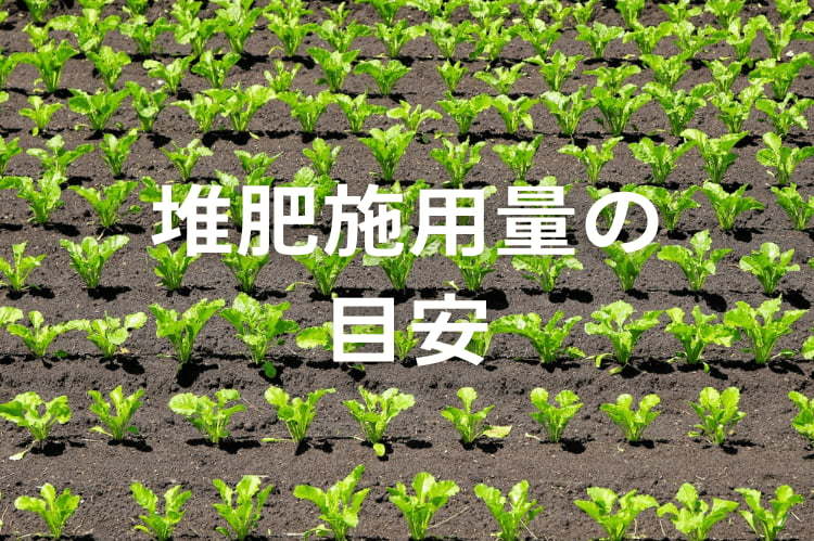 堆肥の適正量とは？作物に合った施用量の決め方と土壌分析の活用法