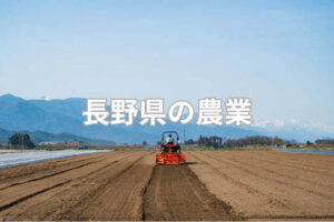 長野県の農業の特徴は？ 主要作物の生産量と、農家の経営状況
