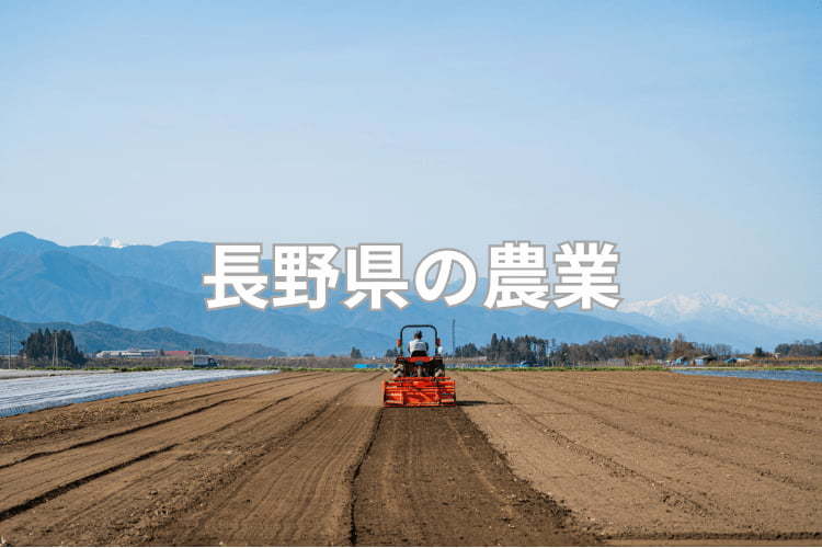 長野県の農業の特徴は？ 主要作物の生産量と、農家の経営状況