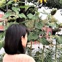 柳澤真木子