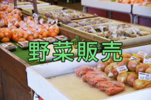 野菜販売の方法は？個人・法人農家に必要な許可・手続き完全ガイド