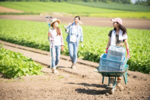 農家の人手不足解消！アルバイト募集で押さえるべき5つのポイント【農業経営ダイジェスト】