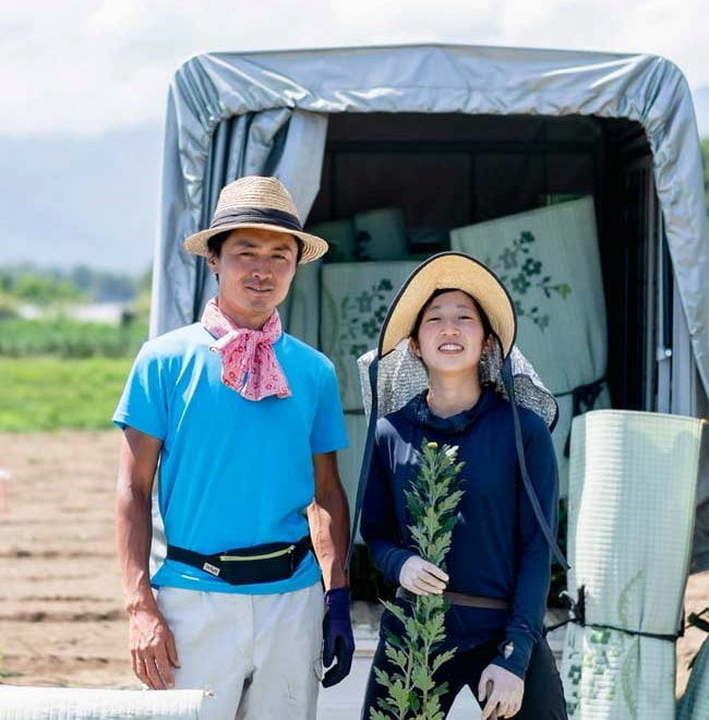 菊農業での成功は計画力！サラリーマンから農家へ転身した男の挑戦【農業経営ダイジェスト】