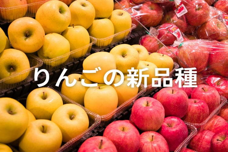 りんごの新品種一覧と特徴、品種改良の方法も紹介