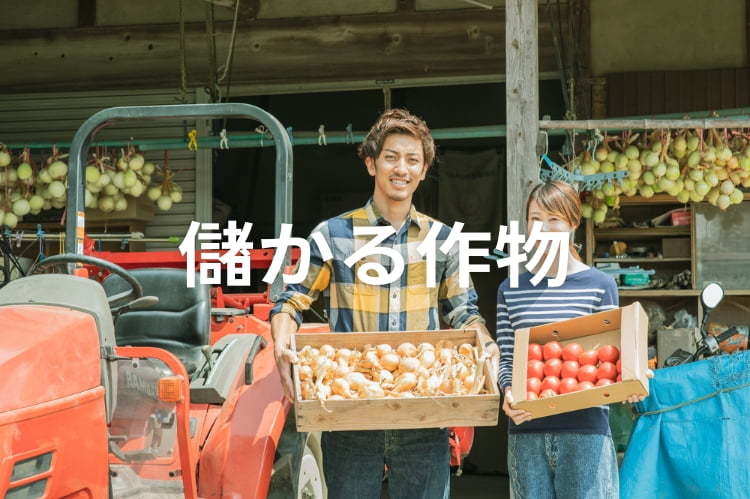 農業で儲かる作物とは？新規就農者が知るべき収益性と選び方