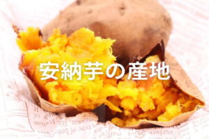 安納いもの産地・種子島のブランド戦略｜甘さと品質の秘密に迫る