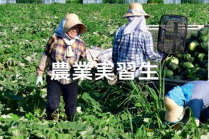農業における外国人技能実習生の現状と課題：受け入れのメリットと注意点
