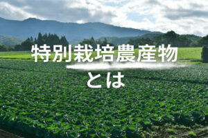 特別栽培農産物とは？定義や減農薬・減肥料の基準を解説