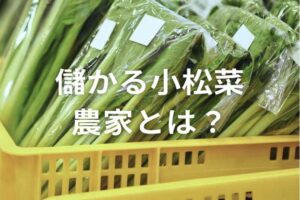 小松菜農家として年収を上げるには？ 高収益化のポイントを解説