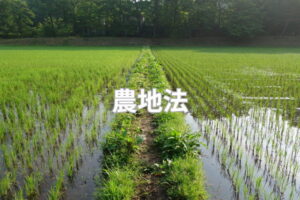 農地法とは？ 改正の歴史・概要をわかりやすく解説！