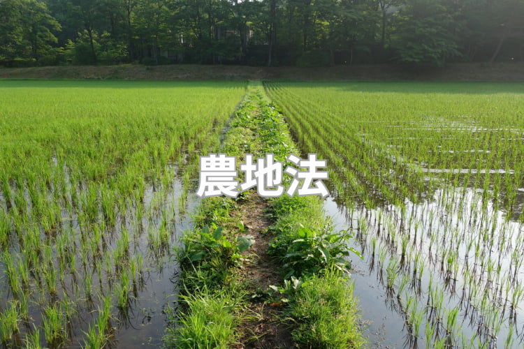 農地法とは？ 改正の歴史・概要をわかりやすく解説！