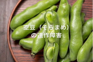 【空豆（そらまめ）の連作障害対策】輪作年限や前作・後作に適した作物は？