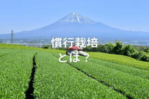 慣行栽培とは？ 有機農業・特別栽培と比較した、農家にとってのメリット