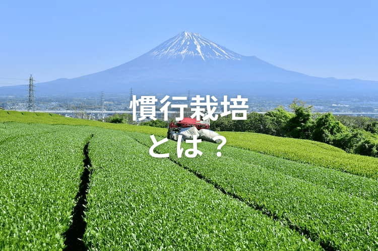 慣行栽培とは？ 有機農業・特別栽培と比較した、農家にとってのメリット