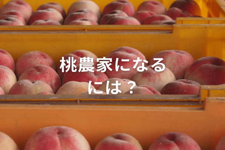 桃農家になるには？ 年収の目安と“最短で高収益”を叶える方法