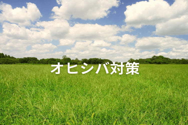 【オヒシバ対策】除草剤が効かない？ 抵抗性イネ科雑草の効果的な除草方法