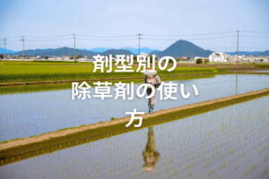 【剤型別】除草剤の効果的な使い方一覧！ 雑草を枯らす散布のコツ