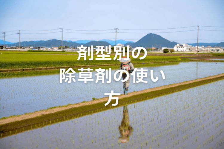 【剤型別】除草剤の効果的な使い方一覧！ 雑草を枯らす散布のコツ