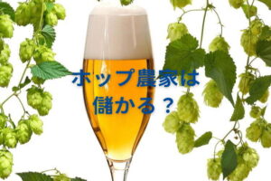 ホップ農家は儲かる？ 多収を実現する栽培方法と、日本における現状の課題