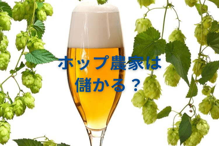 ホップ農家は儲かる？ 多収を実現する栽培方法と、日本における現状の課題