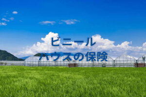 ビニールハウスにかけられる保険は？ 台風などの災害リスクへ備える基礎知識