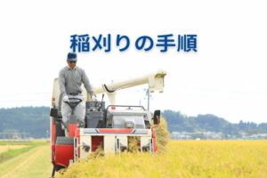 稲刈りの手順は？準備から効率的なコンバインの使い方、収穫後作業まで