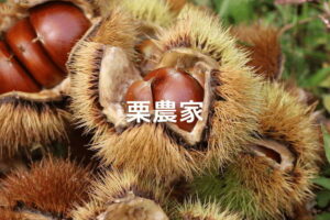 栗農家になりたい！ 収入・労働時間の目安と「儲かる」経営のコツ
