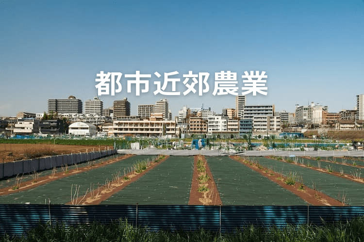 近郊農業とは？ 日本の都市部での出荷状況や今後の可能性を解説