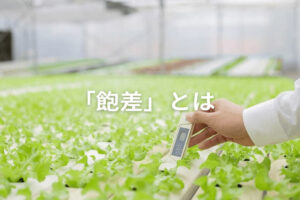 飽差とは?  ハウス栽培に欠かせない飽差管理と計算方法を解説