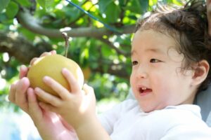 食料自給率とは? 計算方法や日本の状況などについて解説