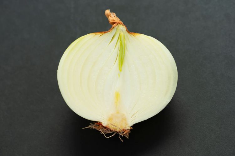 玉ねぎ栽培でおすすめの農薬は？べと病・ヨトウムシなど病害虫別に解説