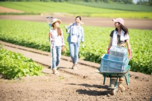農家がアルバイト募集をする時のポイントは？ 求人募集のコツを紹介