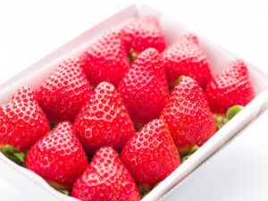 イチゴ農家は儲かる？ 年収目安と、よくある経営の失敗例