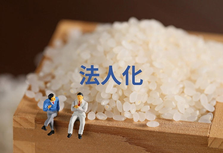 【農業経営法人化】どの法人形態を選ぶべき？ それぞれの特徴と向いている農家