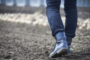 新規就農者の離農率とその理由とは？ 短期離農を防ぎ、担い手不足を解消するために