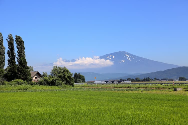 東北地方の農業にはどんな特徴がある？ 統計データから見る最新事情