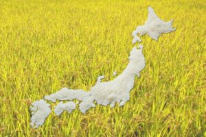 減反政策とは？ 米農家の現状と今後の展望を解説