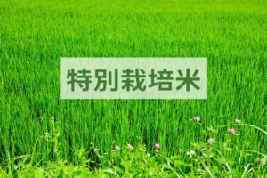 特別栽培米とは？ 定義や無農薬との違い、農家の栽培メリット