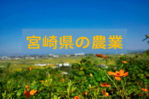 宮崎県の農業の特徴と現状は？ 移住や就農・営農を支援する“独自制度”を大調査