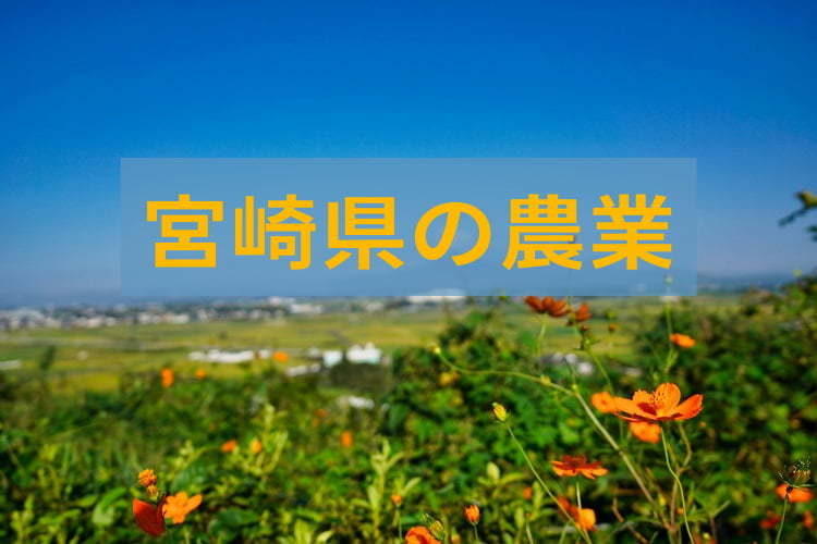 宮崎県の農業の特徴と現状は？ 移住や就農・営農を支援する“独自制度”を大調査