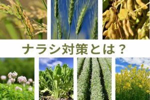 【ナラシ対策】収入減少影響緩和交付金とは？ 収入保険との違いや試算例をわかりやすく解説！