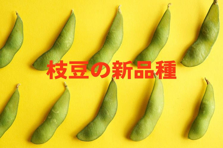 枝豆のおすすめ品種一覧！ 収益アップを実現できる新品種も紹介