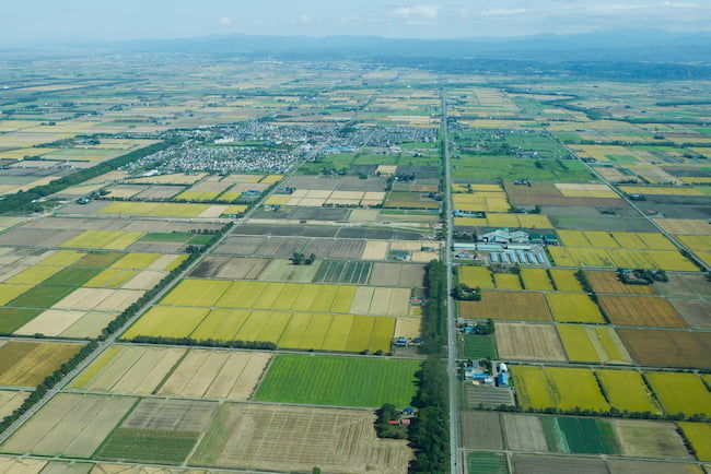 上空から見た田園風景