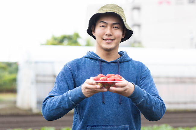 イチゴ農家の男性