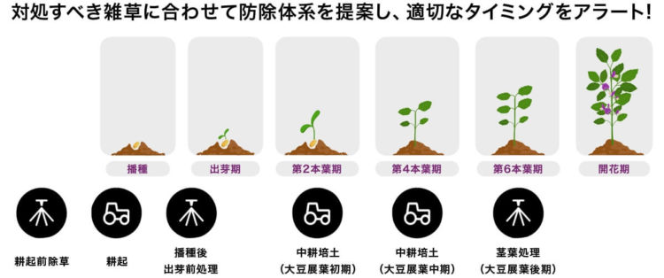 ザルビオ（xarvio）フィールドマネージャー「雑草管理プログラム」が、大豆の葉齢と雑草の状況によって、最適な防除タイミングを知らせてくれる