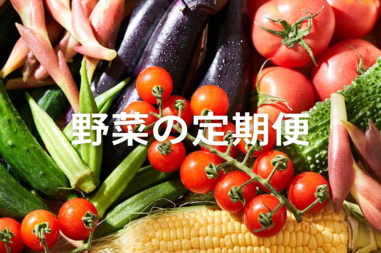 野菜の定期便で売上安定化！農家が知るべきメリットと成功事例