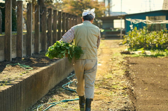 農家の男性 後ろ姿