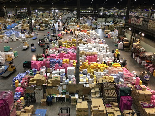 東京都中央卸売市場の大田市場